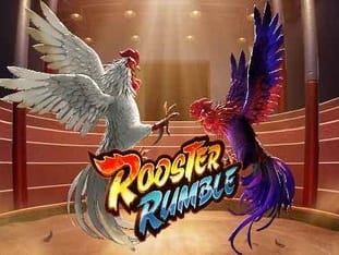 Rooster Rumble game icon
